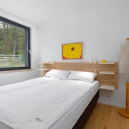 By Wise Ka, Near Baltic * Виселка