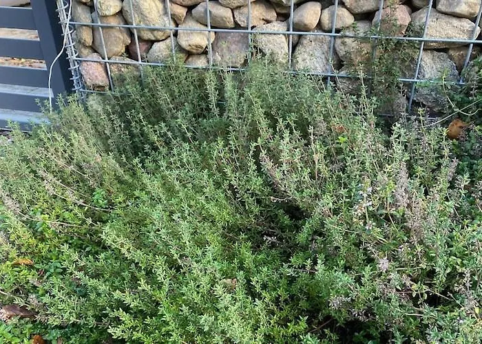 By Wise Ka, Near Baltic *